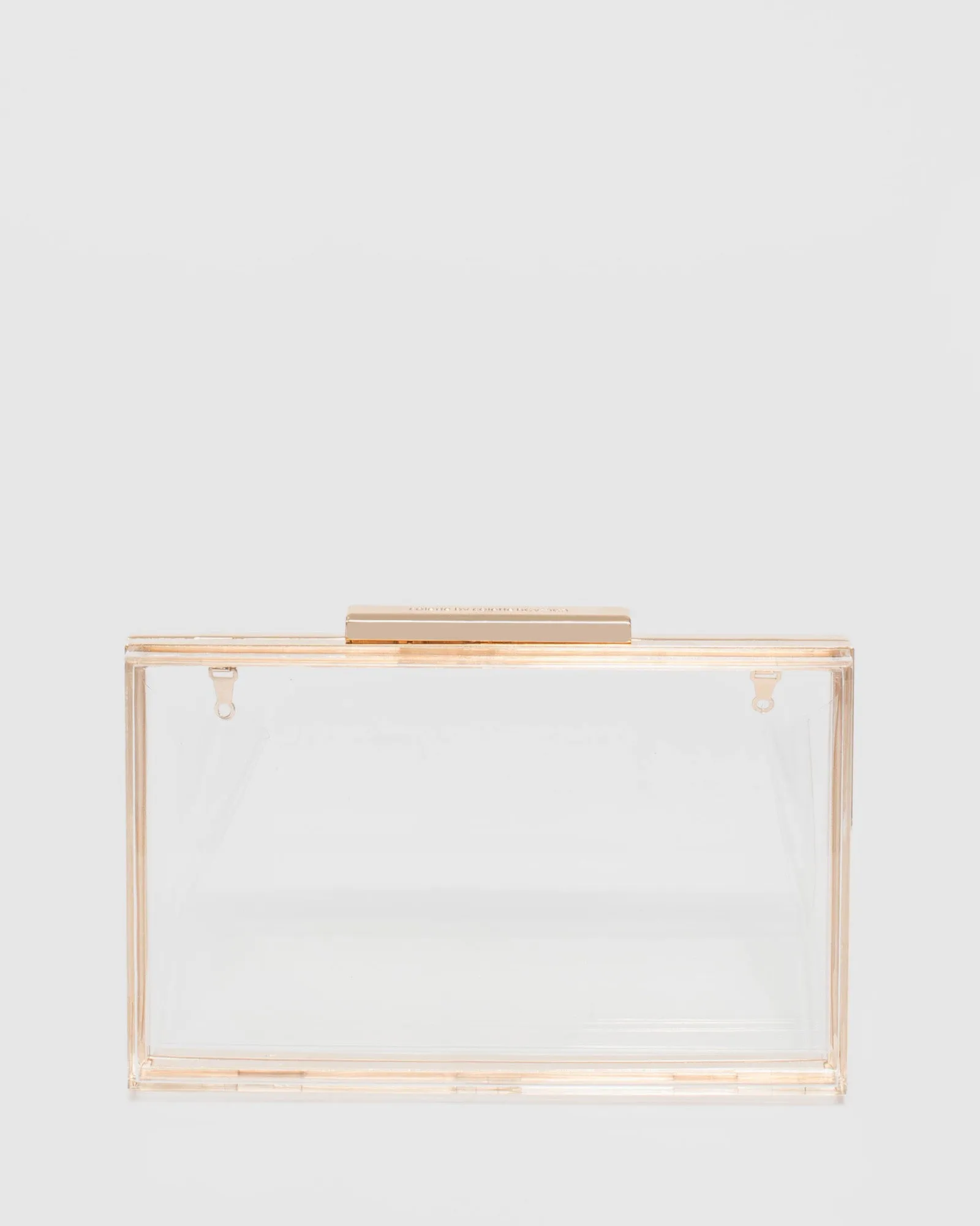 Jaimii Clear Clutch Bag