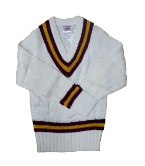 Mens cricket jumper white/navy/sky blue Carta Sport